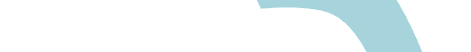 VLogoSV