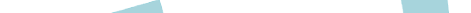 VLogoSV