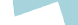 VLogoSV