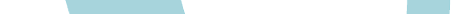 VLogoSV