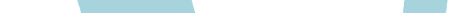 VLogoSV