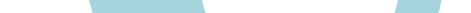 VLogoSV