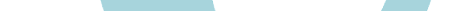 VLogoSV