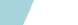 VLogoSV